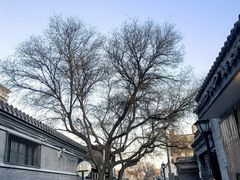 -景秀餐厅(南锣鼓巷店)