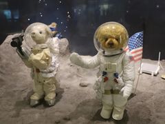 -济州岛泰迪熊博物馆