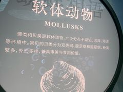 -中国湿地博物馆