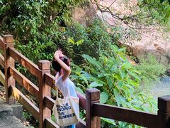 -广州白江湖森林公园