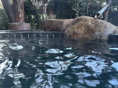 -威海天沐度假区温泉