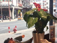 -印象江南(东栅店)
