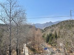 -白水寺森林公园