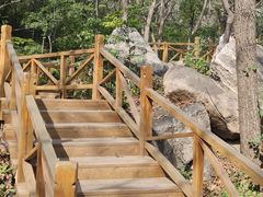 -大岭沟猕猴桃谷风景区