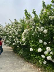 点击看大图 -薇光映画摄影美学馆