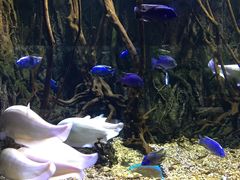 -华夏文旅海洋公园