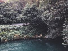 -杭州少年儿童公园