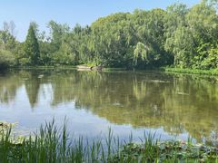 -溱湖国家湿地公园