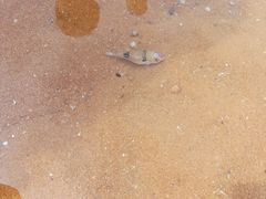 -那香海钻石沙滩浴场