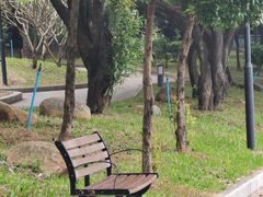 -南国桃园旅游度假区