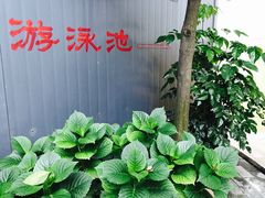 -特种渔场