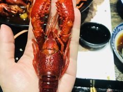 -赤甲皇(仙霞路店)