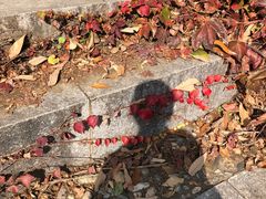 -天津盘山风景名胜区