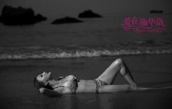 -施华洛婚纱摄影会所(范阳中路店)