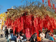 -中国翰园碑林