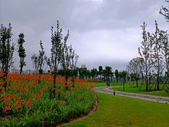 -汉江湾体育公园