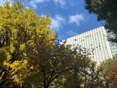 -北海道厅旧本厅舍(旧本庁舎)