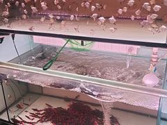 -中环花鸟鱼虫市场