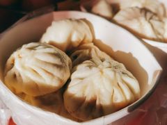 传统猪肉大葱-汇兴居·老北京小吃(体育馆西路店)