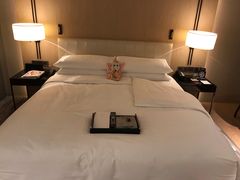 -成都尼依格罗酒店