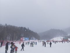 -亚布力新体委滑雪场
