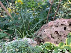 -常州古运河南大街文化旅游区-人民公园