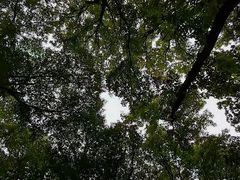 -南京老山国家森林公园