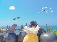 -广东惠东海龟国家级自然保护区