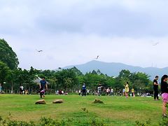 -火炉山森林公园