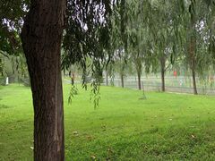 -泰安地下龙宫景区