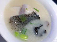 千岛湖招牌鱼头砂锅-姜君·千岛湖鱼头馆(浦东大道店)