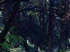 -剑门关风景区