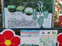 -青岛中山公园-索道售票处