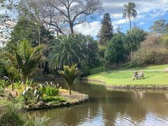 -墨尔本皇家植物园