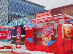 -海合安武汉极地海洋公园