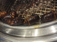 -悟烧·自助烤肉料理(秋林旗舰店)