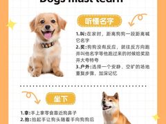 -宠物寄养训练学校