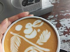 jump&nbsp;rabbit-Roast8ry Coffee Lab
