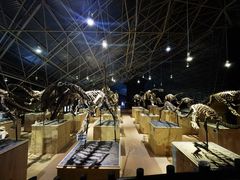 -世界恐龙谷景区