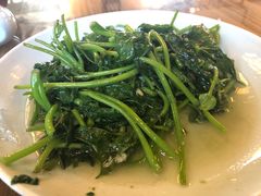 红薯叶-双塔老饭店
