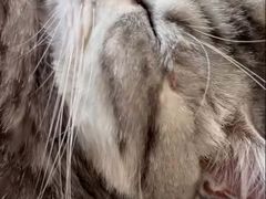 -全心全意连锁动物医院·特色中医诊疗(会城门分院)