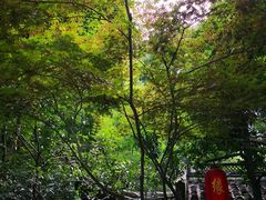 -杭州黄龙洞