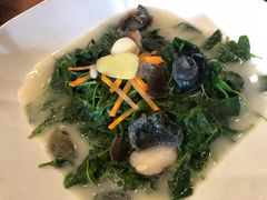 上汤枸杞叶-阿多私房菜(顺德店)