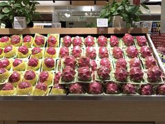 -T11生鲜超市(朝阳公园店)