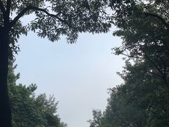 -惠山国家森林公园