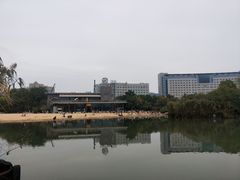 -青枫公园