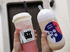 -猫的魔法密林(衣裳街店)