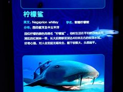 -哈尔滨波塞冬海底世界