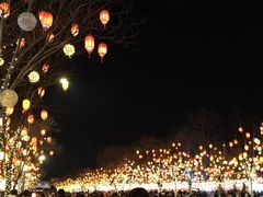 -龙湖星悦荟(颐和店)