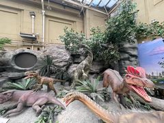 -国家自然博物馆